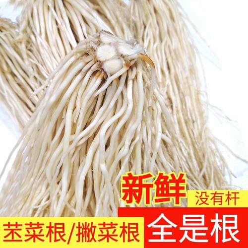 云南新鲜苤菜根撇菜根大韭菜根