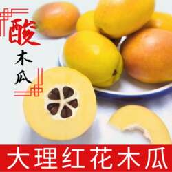 云南大理特产新鲜超大酸木瓜炖鸡泡酒木瓜生吃水果红花青木瓜包邮