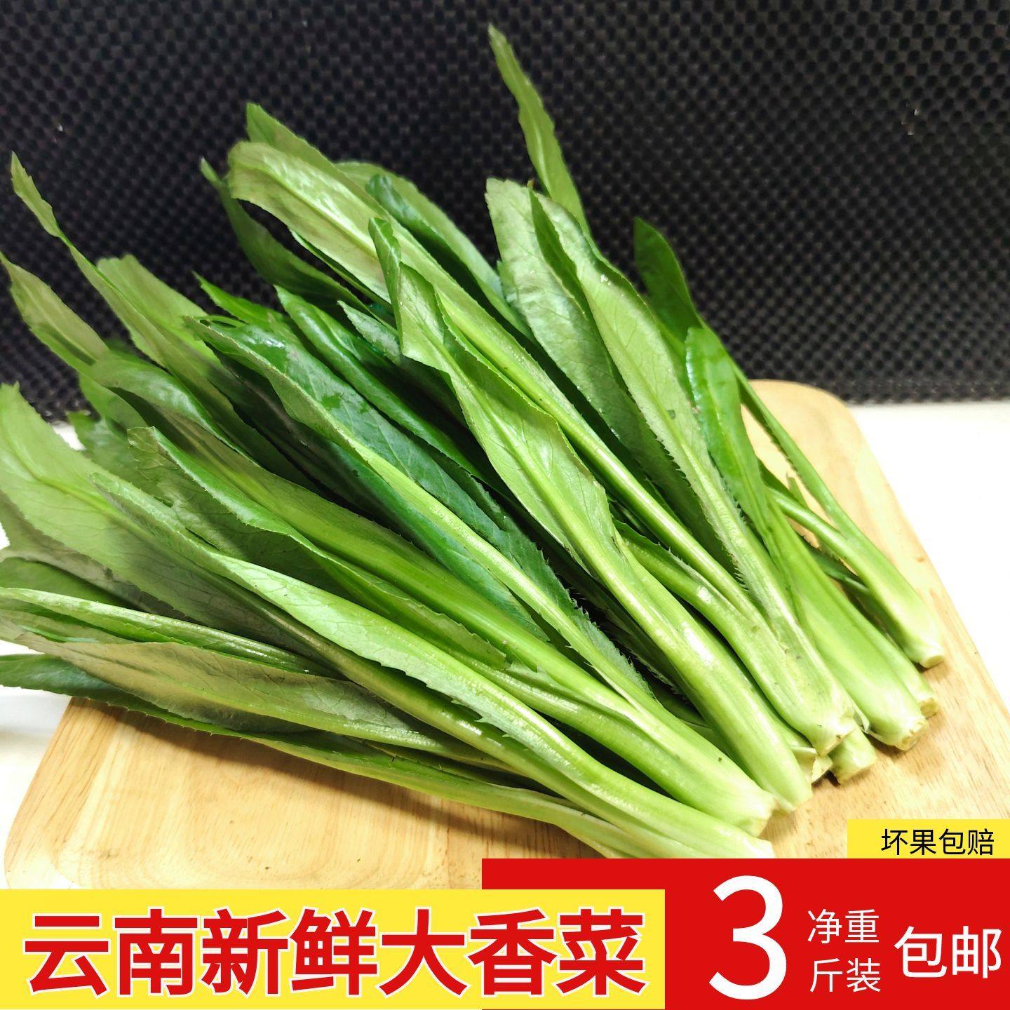 云南新鲜蔬菜芫荽香料调味新鲜采摘现发绿色大香菜泰国食用缅芫荽,水产肉类/新鲜蔬果/熟食,叶菜类,淘宝优惠券,粉丝福利购,淘宝优惠卷