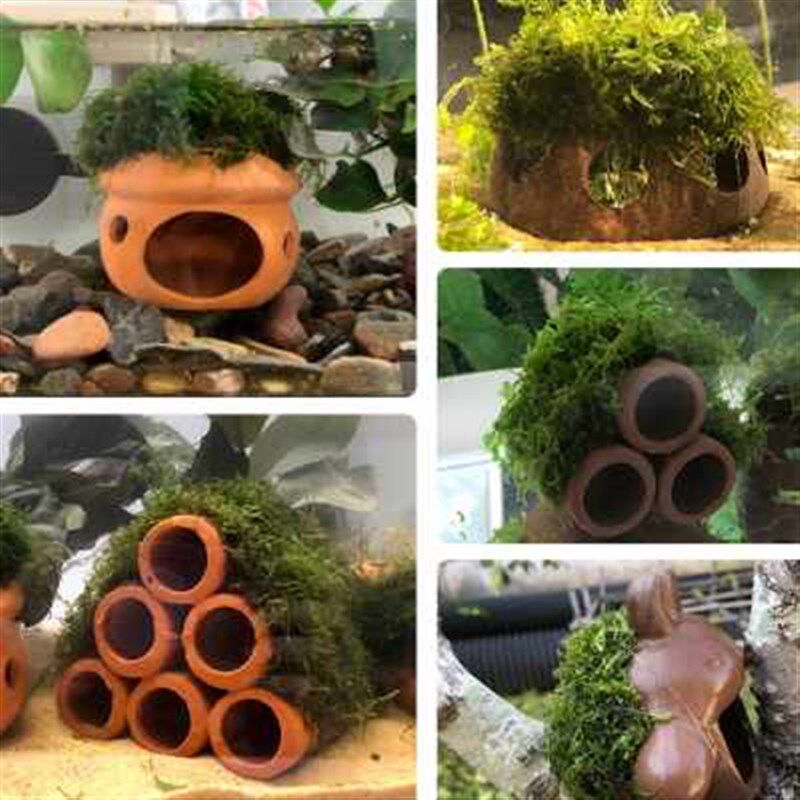 鱼缸莫斯躲c避屋水草懒人装饰虾屋真绿植造景植物小摆件鱼虾躲避