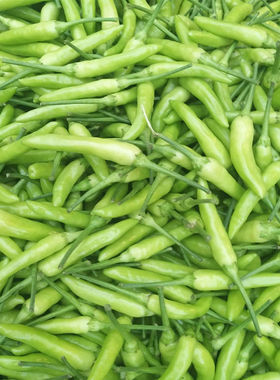 云南新鲜小米辣现摘辣椒泡椒青椒