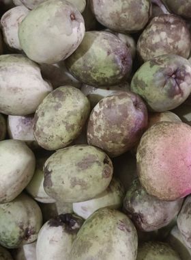 酸木瓜云南德宏盈江新鲜水果老品种木瓜高原野生酸木瓜100-250克