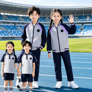 辽宁省沈阳市小学生统一校服春秋夏季套装灰紫色短袖短裤运动服装