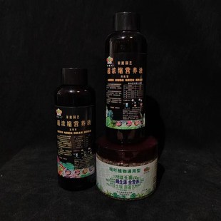 竹子等观叶植物营养组合套装