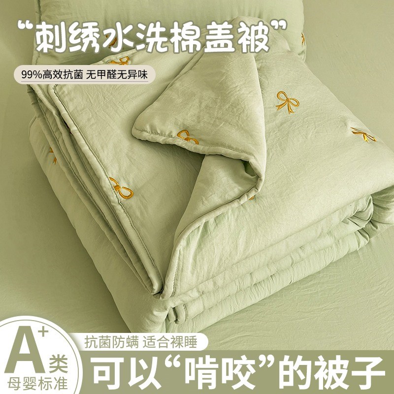 夏天高端新款Ah类水洗棉刺绣夏凉被空调被可机洗薄被单人宿舍夏被