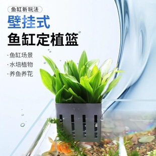 鱼缸水培植物篮壁挂式水草种植杯挺水植物挂篮定植篮鱼缸造景装饰