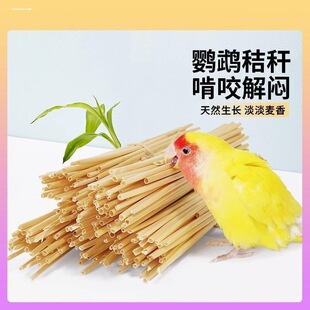 鹦鹉啃咬玩具天然麦秆麦秸秆磨牙磨爪解闷自嗨训练觅食插尾巴筑巢