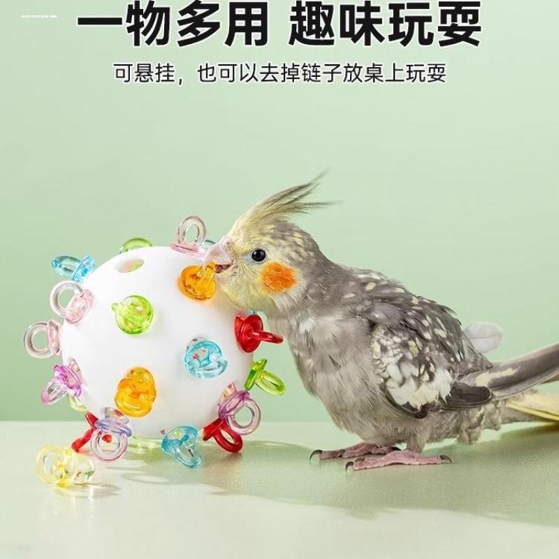 玄凤鹦鹉鸟笼玩具啃咬球中小型鹦
