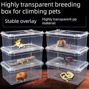 宠物爬宠饲养盒乌龟冬眠箱守宫蜥蜴角蛙蜘蛛活体爬虫通用盒子