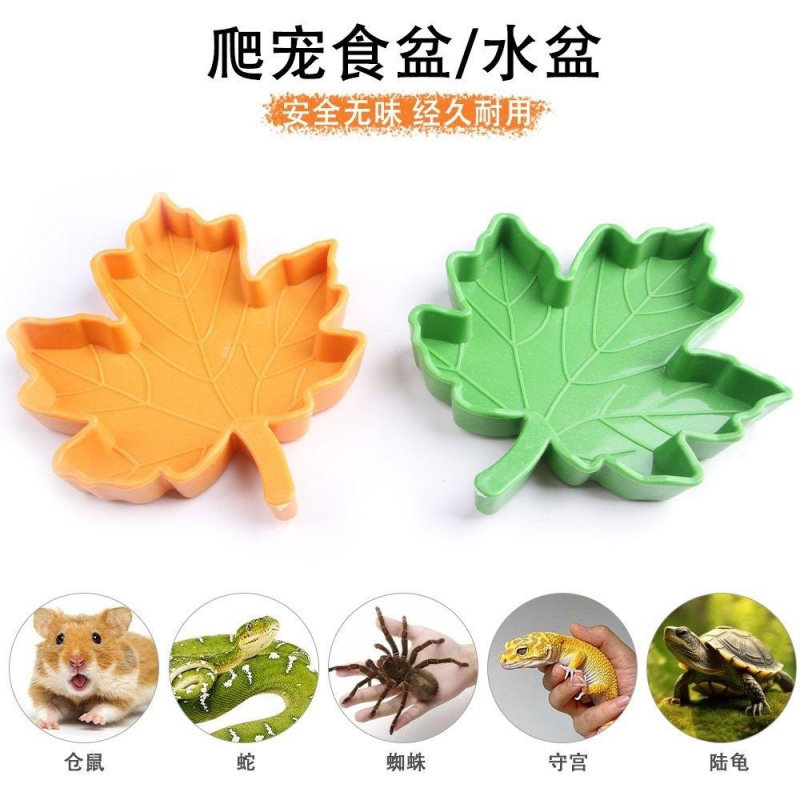 爬宠塑料蜘蛛水盆爬虫饮水器仓鼠守宫鬃狮蜥蜴防逃食盆蝎子寄居蟹