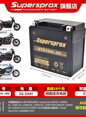 哈雷975运动者S1250SS 883 X48 XL1200X XG750泛美1250电瓶蓄电池