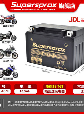 钱江原厂250V闪350 300 500S 550 600 700骁750赛800 921电瓶电池