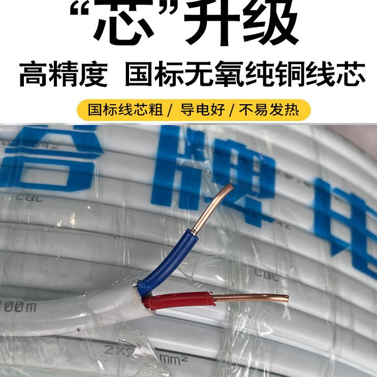 阻3芯硬芯1.5多/电线股2.5牌 国标/燃护套线方塔6V/平4电缆2芯BVB
