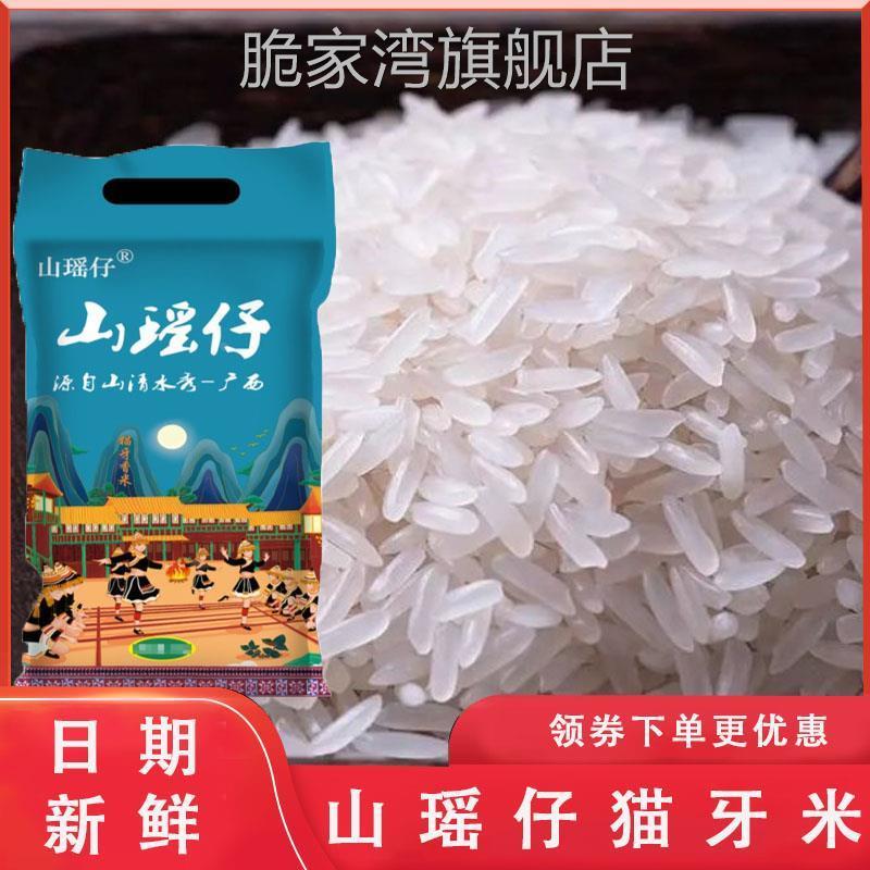 山瑶仔猫牙米2024新米农家大米广西长粒香丝苗软米虾田猫牙旗舰店