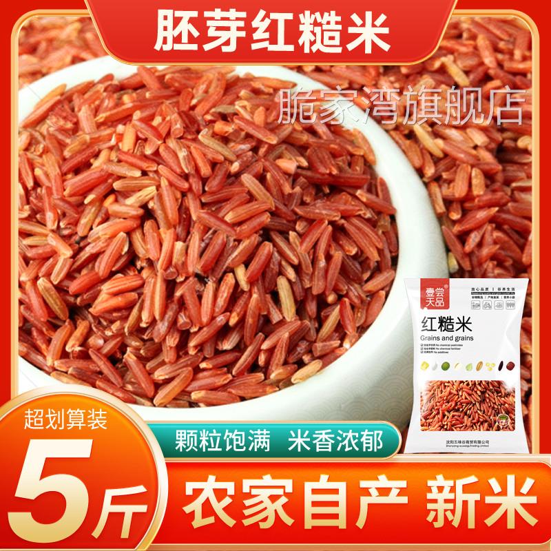 胚芽红糙米24年农家新货粳稻米红米五谷杂粮主食代餐粗粮粥米饭