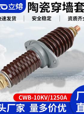 立熔CWC-CWB-10KV/1000A1250A户外12KV高压防污铜棒陶瓷穿墙套管