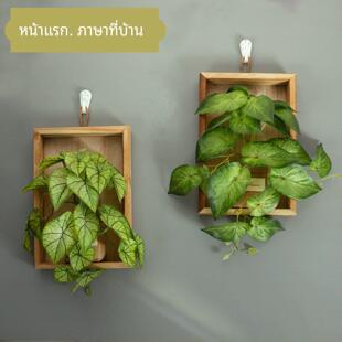 北欧工业风户外壁饰品彷真绿植壁挂室内玄关装饰画客厅电视墙挂件