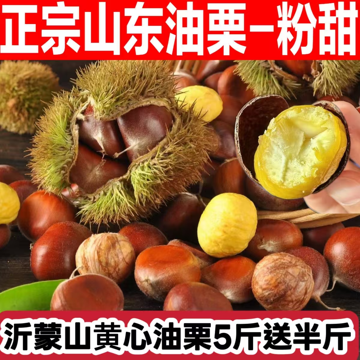 新鲜板栗沂蒙山生栗子带壳野生油板栗自然成熟新货沂蒙山油板栗