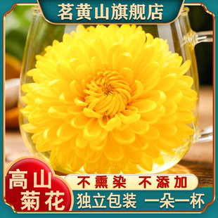 黄山菊花茶菊花黄菊一杯一朵金丝皇菊贡菊胎菊特产级官方旗舰店