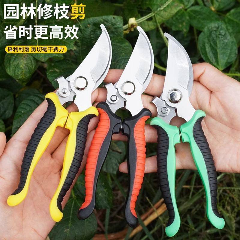 修枝剪园林园艺专用不锈钢剪刀家用省力修花修剪果树摘果树枝花艺