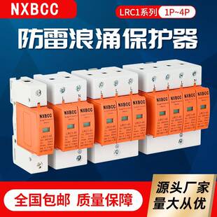 家用浪涌保护器4P20KA40KA60KA80ka100KA 避雷器2P电涌保护防雷器