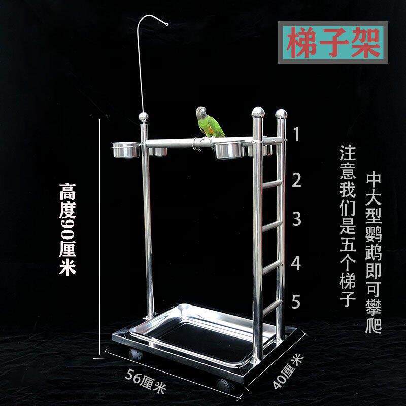 鹦鹉不锈钢站架梯子架磨砂站杆加厚不锈钢中大型鹦鹉站架厂家直销