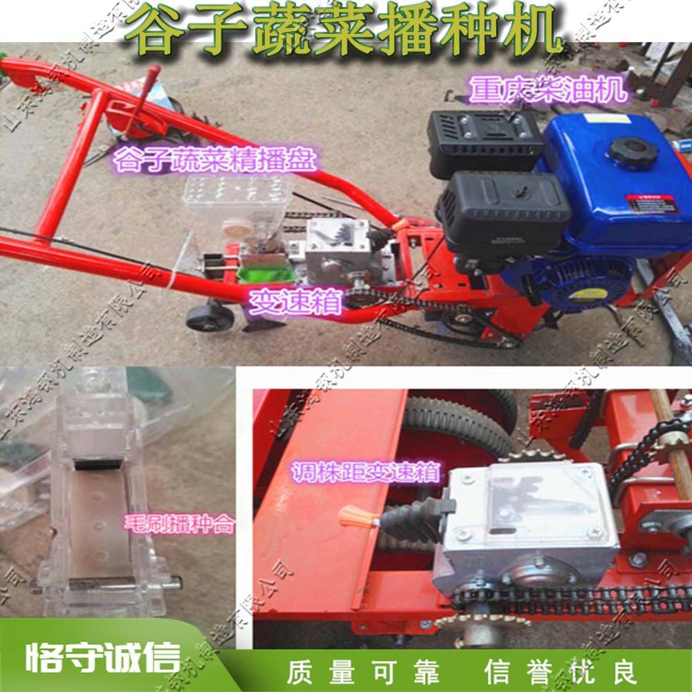 蔬菜种子点播机 小型谷物颗粒播种机 手推柴油式农田小麦种植机