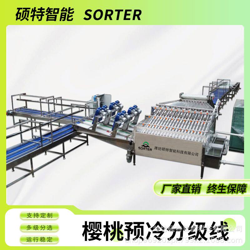 樱桃大型预冷清洗风干分级线 车厘子直径分选机 樱珠大小选果设备