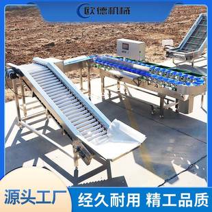 定制全自动料盒鸡爪分选机牡蛎加工分级机生蚝分拣机高速分选