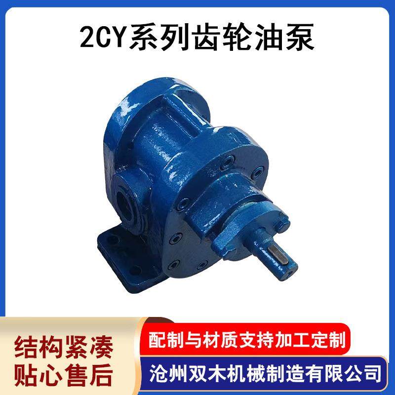 厂家供应2CY系列齿轮油泵增压自吸煤焦食品化工泵不锈钢,五金/工具,其它泵类型,淘宝优惠券,粉丝福利购,淘宝优惠卷