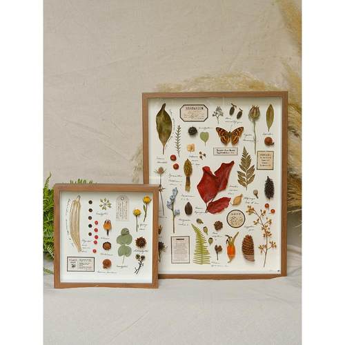 手作复古干花植物标本装饰画样板间组合摆件创意节日礼物照片墙