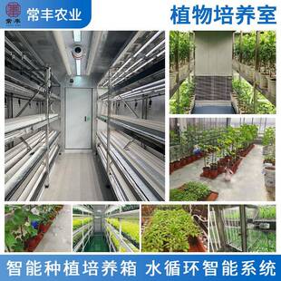 供应试验室植物培养室蔬菜轻型架子智能种植培养箱手机智能启动
