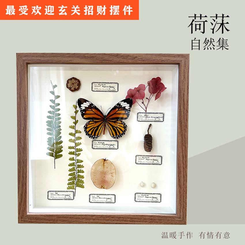 特价真蝴蝶植物标本装饰画生日礼物侘寂ins文艺风玄关卧室摆挂件图片