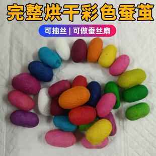 彩色蚕茧可做扇子染色蚕茧可抽丝可做蚕丝扇烘干diy材料