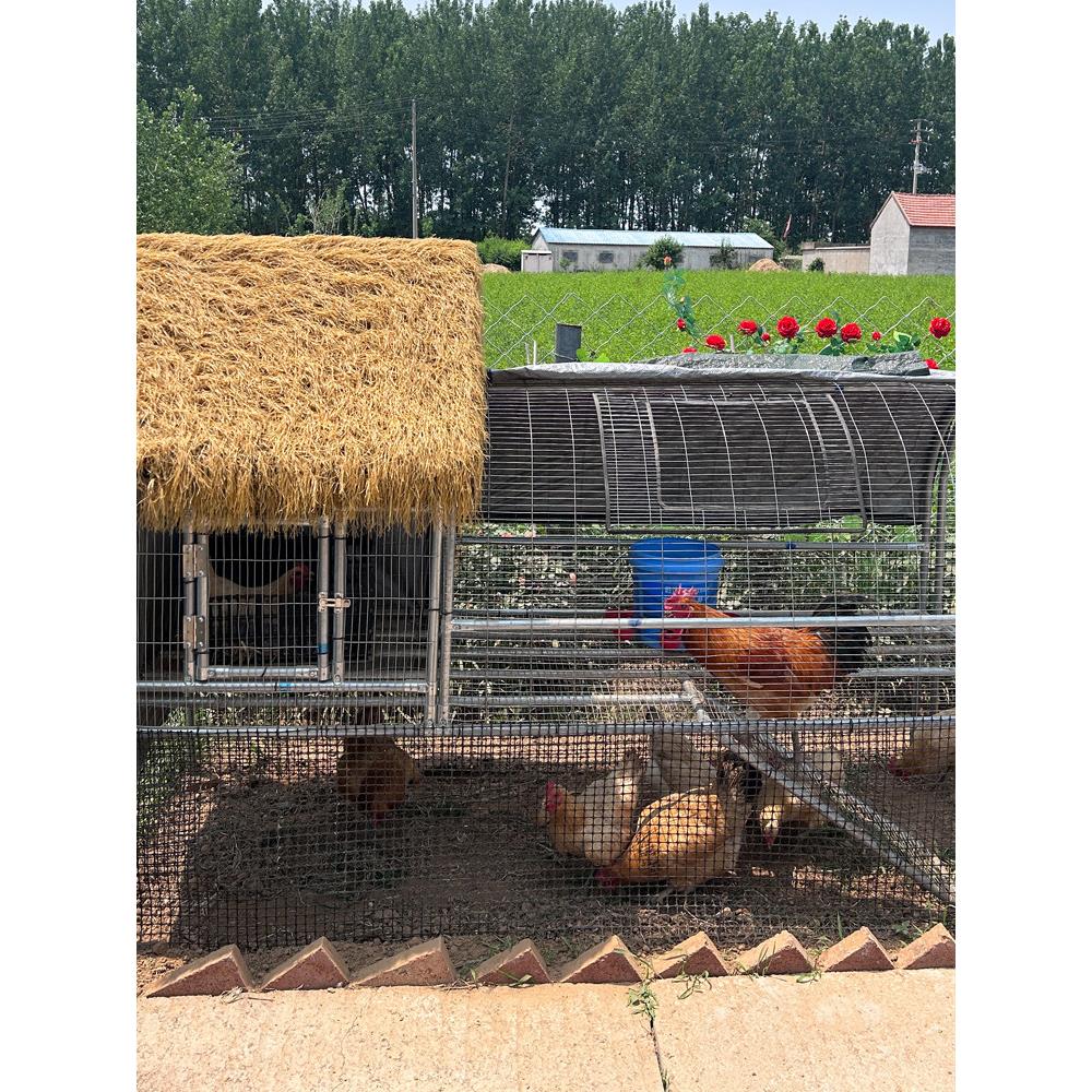 大号鸡笼家用室外防雨鸽子笼鸡鸭鹅养殖笼折叠防黄鼠狼兔笼鸡笼
