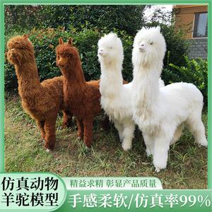 仿真动物羊驼模型景区草泥马落地摆件皮毛工艺品仿真驼羊道具标本