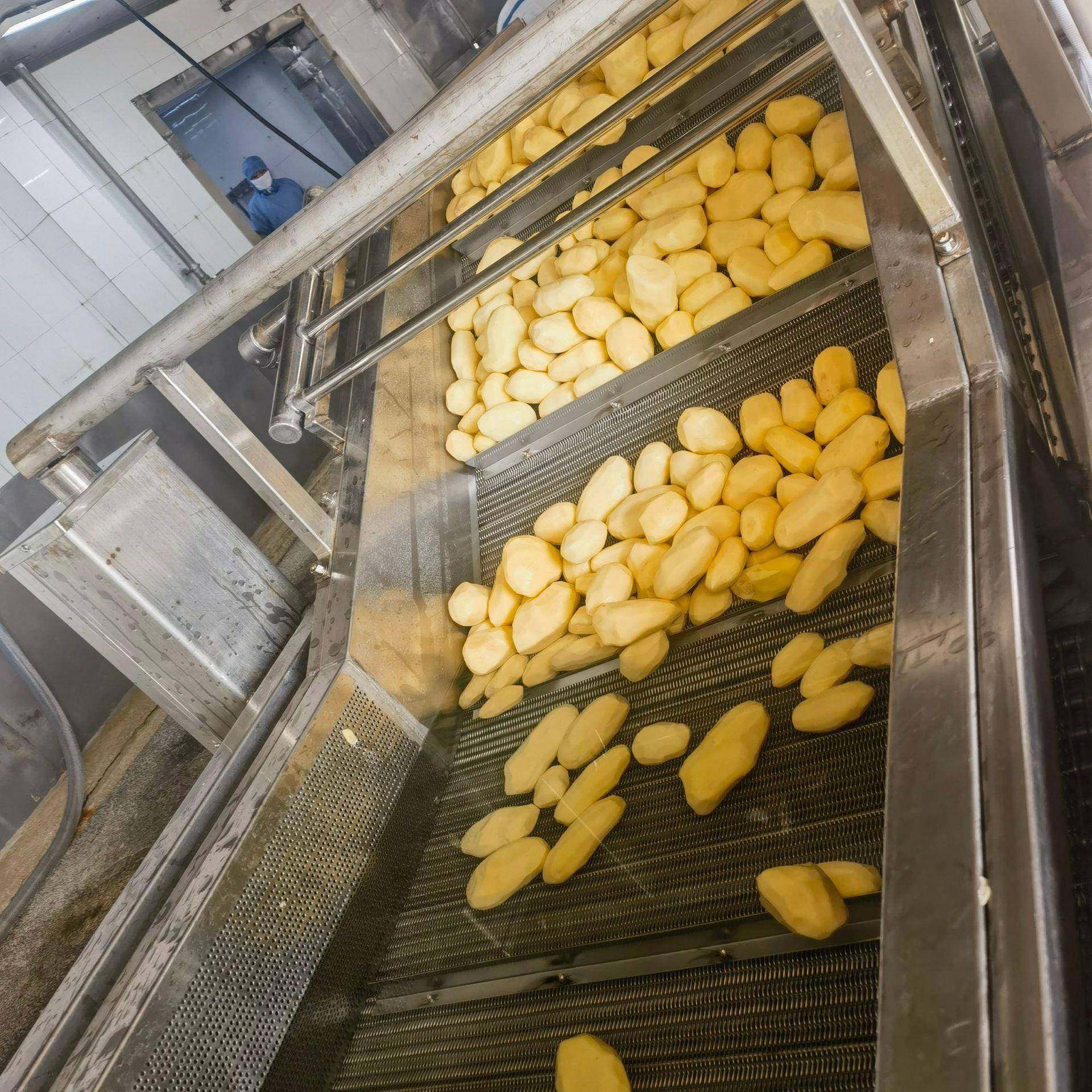 速冻鲜切薯条油炸流水线 全自动薯条油炸机 土豆条薯条油炸生产线