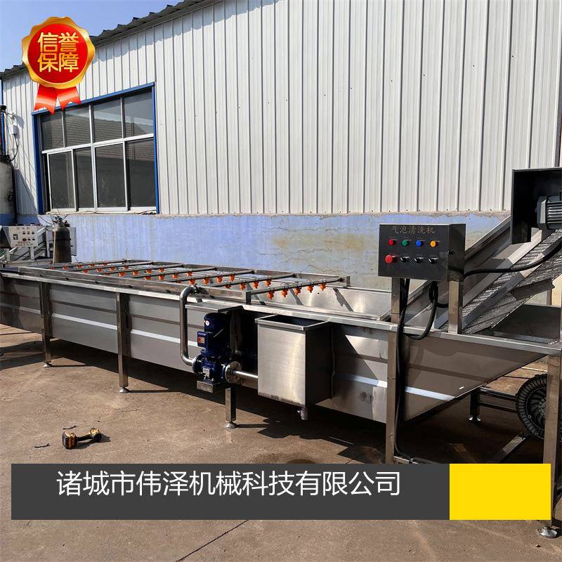 气泡清洗机商用果蔬清洗机高压喷淋鼓泡海鲜清洗设备不锈钢洗菜机