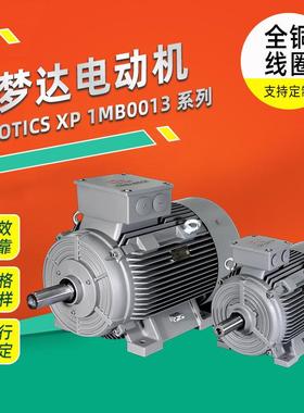 电机SIMOTICS XP 1MB0013系列低压粉尘防爆电动机厂家直供