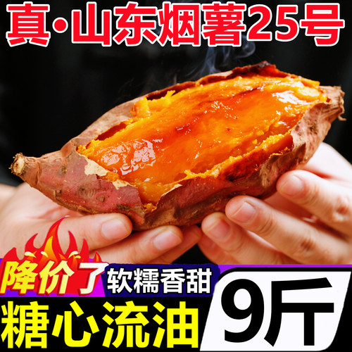 【正宗山东烟薯25号】官方推荐！