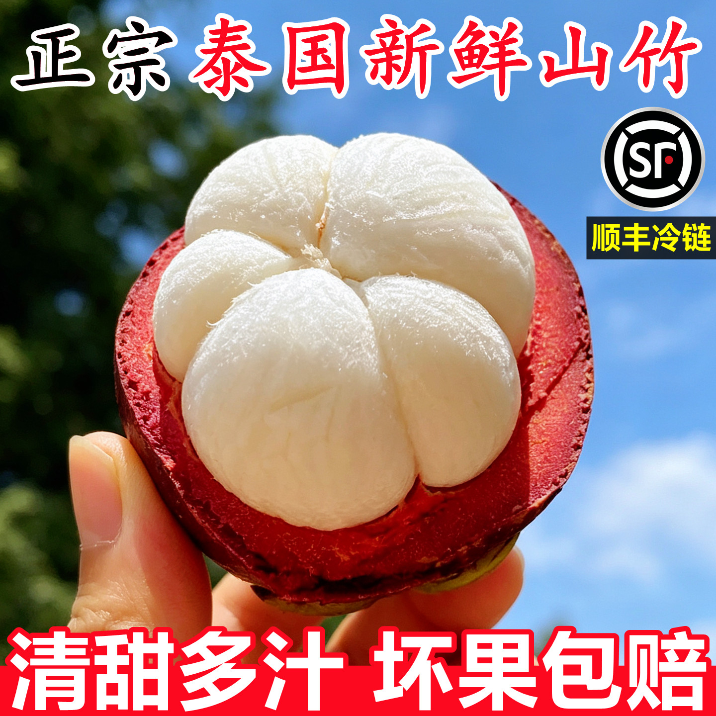 【正宗泰国新鲜山竹】已上热销榜
