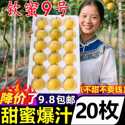 【钦蜜9号黄金百香果】官方推荐