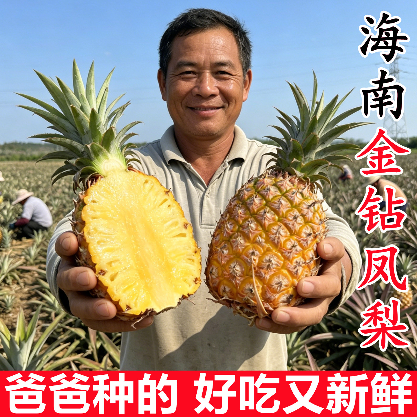 正宗海南金钻凤梨新鲜水果10斤当季纯甜凤梨菠萝时令热带水果整箱