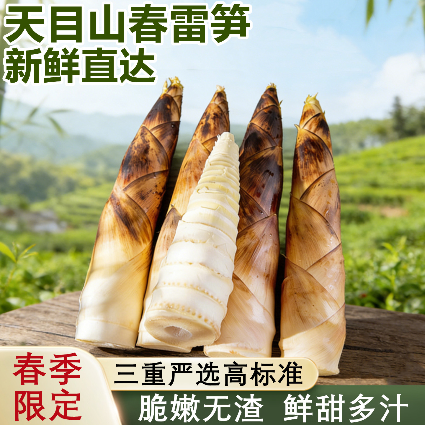 临安天目山春雷笋新鲜现挖5斤当季时令蔬菜高山竹笋甜嫩笋尖整箱
