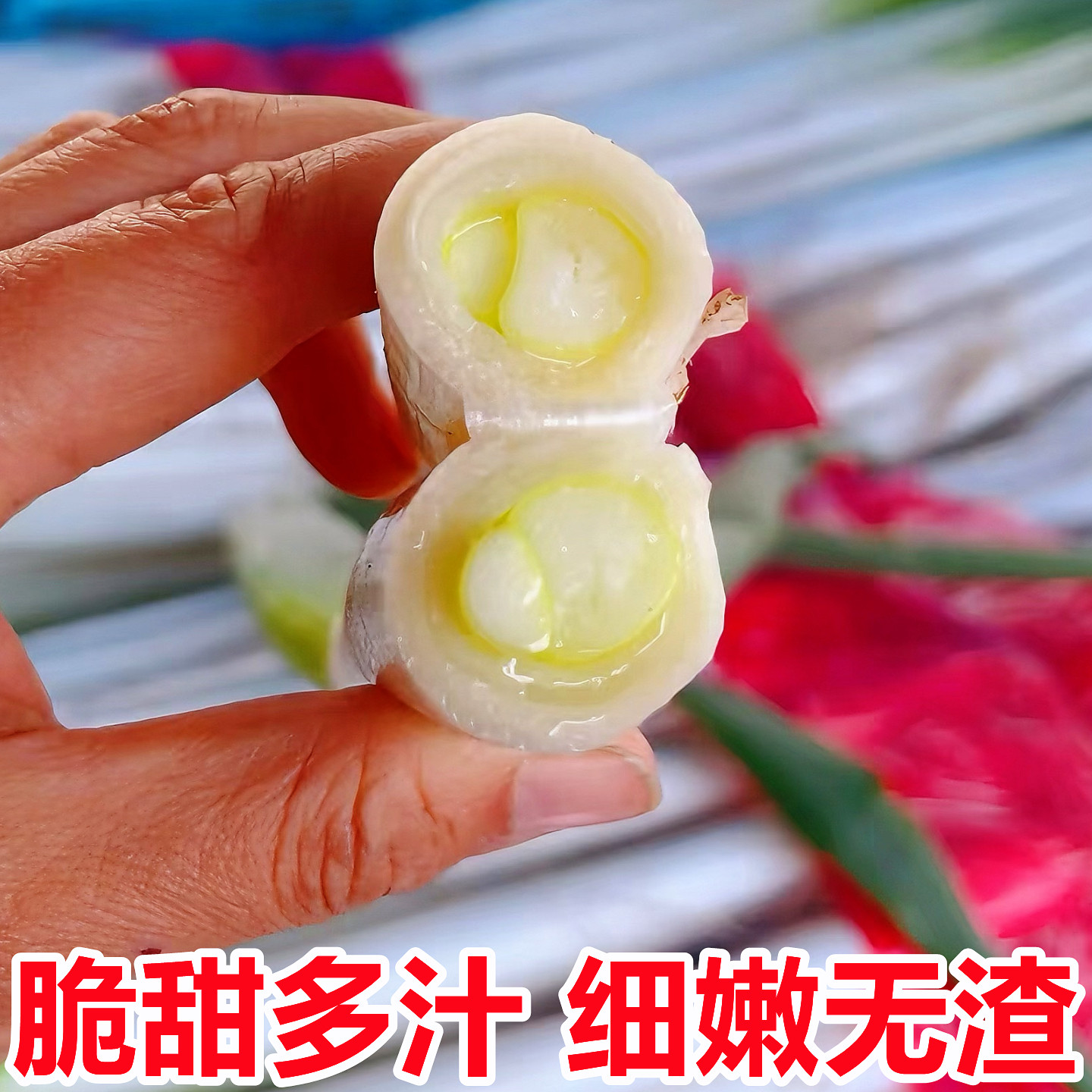 山东正宗章丘铁杆大葱新鲜10斤整箱蔬菜批发甜葱当季嫩葱新葱整箱,水产肉类/新鲜蔬果/熟食,葱类,淘宝优惠券,粉丝福利购,淘宝优惠卷