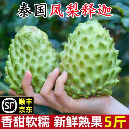 【泰国凤梨释迦果】已上热销榜！