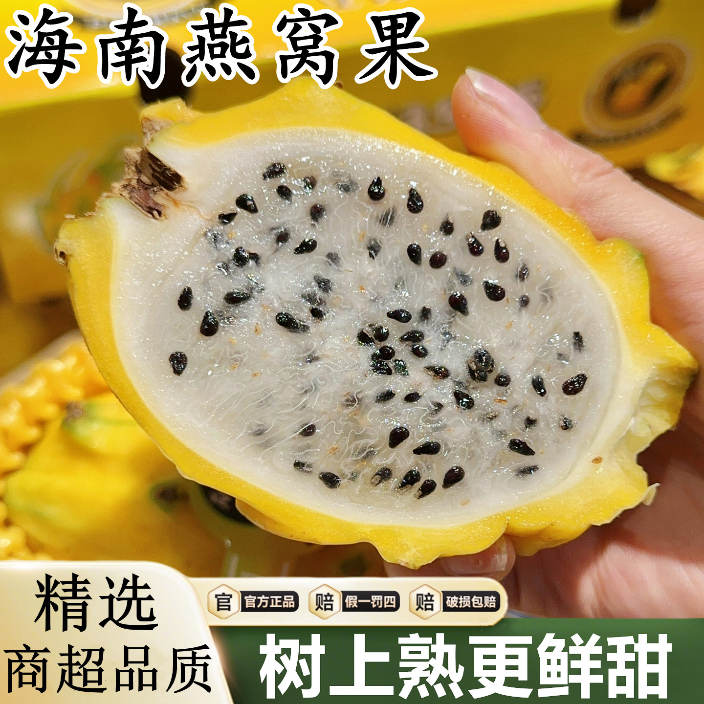 【海南燕窝果新鲜】已上热销榜！