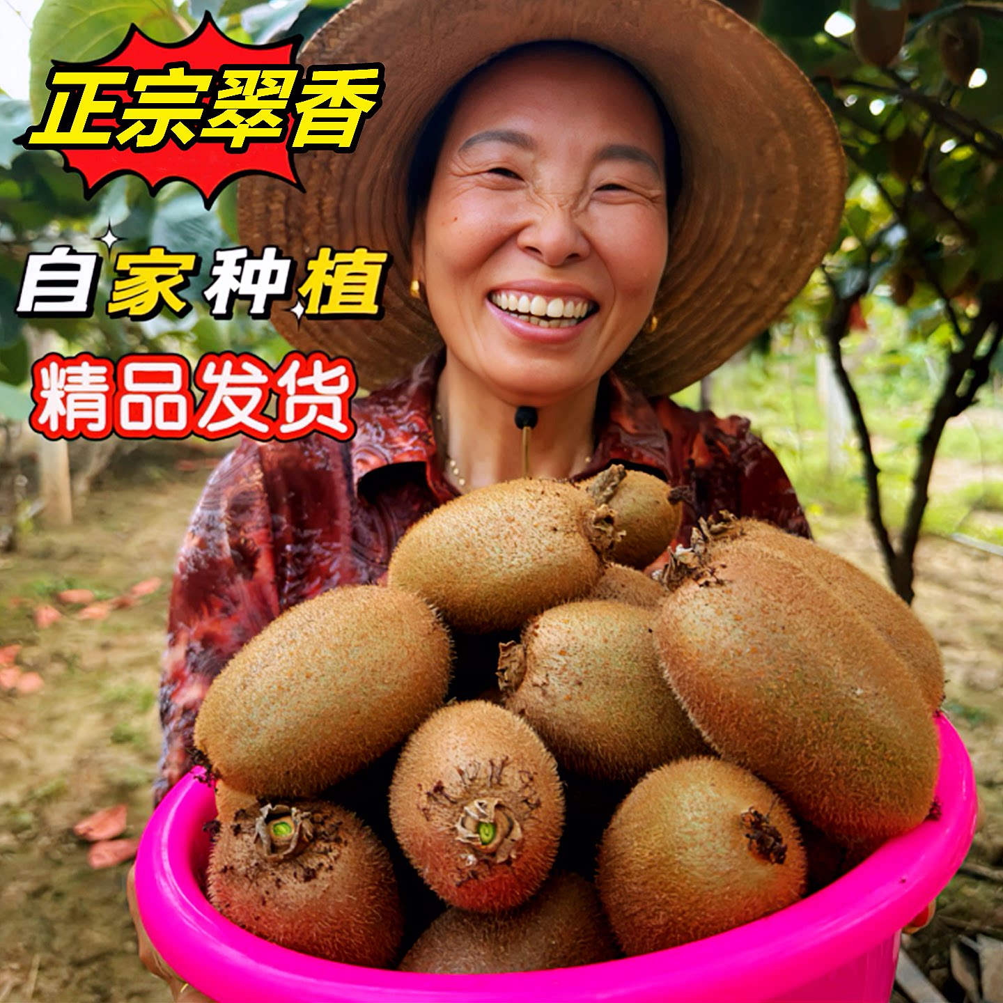 【周至翠香猕猴桃新】已上热销榜