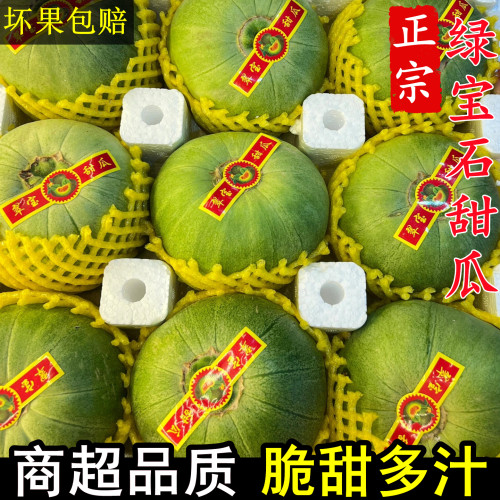 【山东绿宝石甜瓜】已上热销榜！