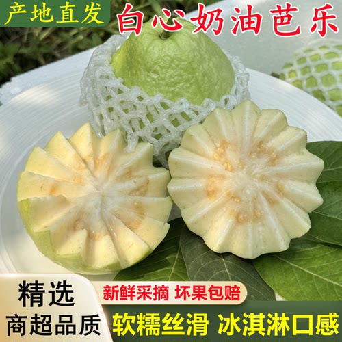 【广西白心奶油芭乐】已上热销榜